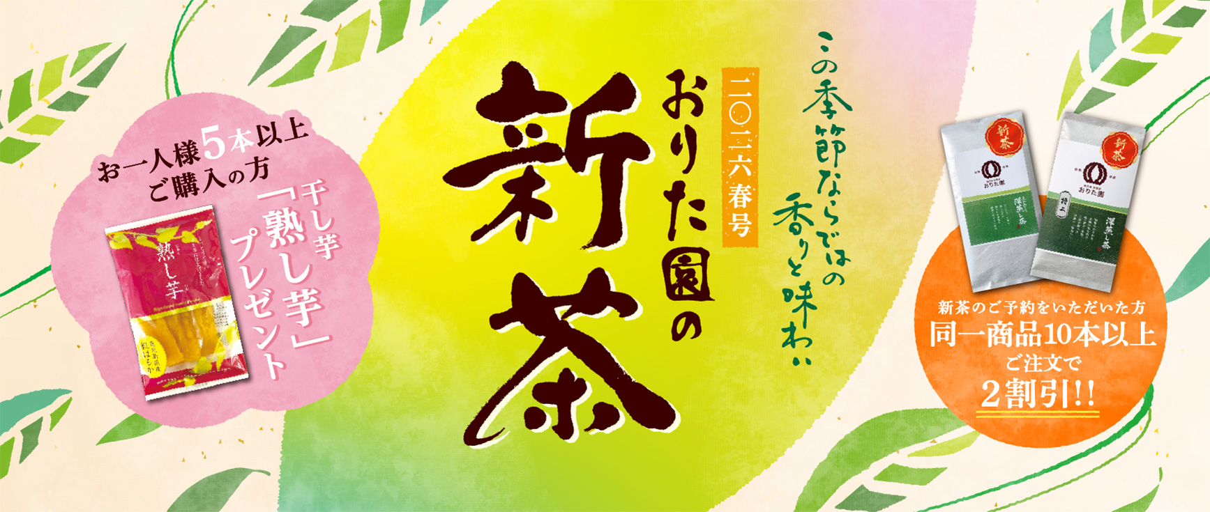 2026春号おりた園の新茶