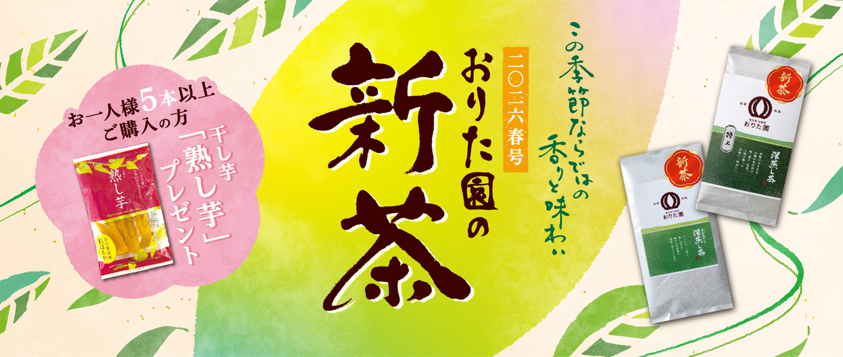 2026春号おりた園の新茶